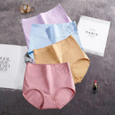 Comfort Plus Cotton Blend High-Waisted Panties Slimming Comfort Plus Cotton Blend High-Waisted Panties Slimming