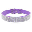 Luxury Rhinestone Flower Pet Collar Shimmering Glam Style Luxury Rhinestone Flower Pet Collar Shimmering Glam Style