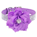 Luxury Rhinestone Flower Pet Collar Shimmering Glam Style Luxury Rhinestone Flower Pet Collar Shimmering Glam Style