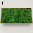 Realistic Artificial Green Moss for Indoor Outdoor Crafts Realistic Artificial Green Moss for Indoor Outdoor Crafts