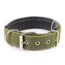 Foam Padded Pet Collar Adjustable Stylish Neckband Foam Padded Pet Collar Adjustable Stylish Neckband