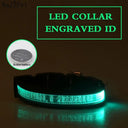 Light Up Your Pet LED Dog Collar With Engraved Tag Light Up Your Pet LED Dog Collar With Engraved Tag