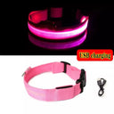 LED Dog Collar Light For Night Safety And Visibility LED Dog Collar Light For Night Safety And Visibility