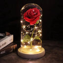 Enchanted Galaxy Rose Glass Dome Eternal Love Gift Deluxe Enchanted Galaxy Rose Glass Dome Eternal Love Gift Deluxe