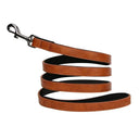Luxurious Engraved Leather Dog Collar With Elegant Nameplate Luxurious Engraved Leather Dog Collar With Elegant Nameplate