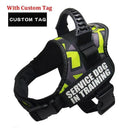 Custom Reflective Nylon Dog Harness Personalized No Pull Custom Reflective Nylon Dog Harness Personalized No Pull