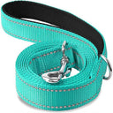 Reflective Night Dog Leash For Enhanced Visibility Reflective Night Dog Leash For Enhanced Visibility
