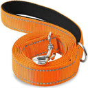 Reflective Night Dog Leash For Enhanced Visibility Reflective Night Dog Leash For Enhanced Visibility