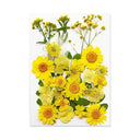 Epoxy Resin Jewelry Kit With Botanical Accessories Epoxy Resin Jewelry Kit With Botanical Accessories