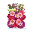 Epoxy Resin Jewelry Kit With Botanical Accessories Epoxy Resin Jewelry Kit With Botanical Accessories