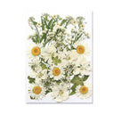 Epoxy Resin Jewelry Kit With Botanical Accessories Epoxy Resin Jewelry Kit With Botanical Accessories