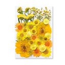 Epoxy Resin Jewelry Kit With Botanical Accessories Epoxy Resin Jewelry Kit With Botanical Accessories