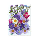 Epoxy Resin Jewelry Kit With Botanical Accessories Epoxy Resin Jewelry Kit With Botanical Accessories