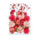 Epoxy Resin Jewelry Kit With Botanical Accessories Epoxy Resin Jewelry Kit With Botanical Accessories