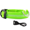 Illuminated Dog Collars For Nighttime Safety And Visibility Illuminated Dog Collars For Nighttime Safety And Visibility