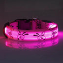 LED Dog Collar Glow In The Dark Nylon Safety Collar LED Dog Collar Glow In The Dark Nylon Safety Collar