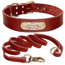 Personalized Leather Dog Collar Set With Free Engraving Personalized Leather Dog Collar Set With Free Engraving
