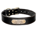 Personalized Leather Dog Collar Set With Free Engraving Personalized Leather Dog Collar Set With Free Engraving