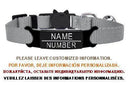 Cat Collar With Engraved ID Tag And Breakaway Safety Cat Collar With Engraved ID Tag And Breakaway Safety