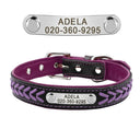 Personalized Leather Padded Dog Collar With Free Engraving Personalized Leather Padded Dog Collar With Free Engraving