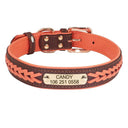 Personalized Leather Padded Dog Collar With Free Engraving Personalized Leather Padded Dog Collar With Free Engraving