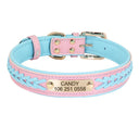 Personalized Leather Padded Dog Collar With Free Engraving Personalized Leather Padded Dog Collar With Free Engraving