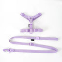 Pet Accessory Set Macarone Color Harness Collar Leash Kit Pet Accessory Set Macarone Color Harness Collar Leash Kit