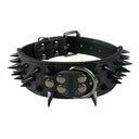 Premium Spiked Leather Dog Collar For Trendsetting Pets Premium Spiked Leather Dog Collar For Trendsetting Pets