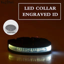 LED Light Up Nylon Pet Collar For Safe Outdoor Walks LED Light Up Nylon Pet Collar For Safe Outdoor Walks