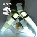 Luminous LED Dog Harness for Night Safety and Running Luminous LED Dog Harness for Night Safety and Running