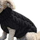 Winter Pet Sweater High Collar Solid Color XS To XL Winter Pet Sweater High Collar Solid Color XS To XL