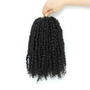 Passion Twist Crochet Hair for Stylish Black Women 8 Packs Passion Twist Crochet Hair for Stylish Black Women 8 Packs