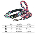 Reflective Nylon Dog Collar Set for Personalized Safety Reflective Nylon Dog Collar Set for Personalized Safety