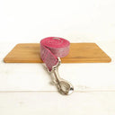 Nylon Dog Collar Set: Personalized Engraving & Free Leash Nylon Dog Collar Set: Personalized Engraving & Free Leash