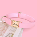 Stylish Custom Dog Collar & Leash Set for Personalized Dogs Stylish Custom Dog Collar & Leash Set for Personalized Dogs