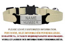 Cat Collar: Custom Engraved ID Tag with Breakaway Safety Cat Collar: Custom Engraved ID Tag with Breakaway Safety