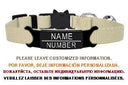 Cat Collar: Custom Engraved ID Tag with Breakaway Safety Cat Collar: Custom Engraved ID Tag with Breakaway Safety