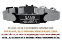 Cat Collar: Custom Engraved ID Tag with Breakaway Safety Cat Collar: Custom Engraved ID Tag with Breakaway Safety