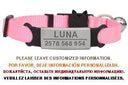 Cat Collar: Custom Engraved ID Tag with Breakaway Safety Cat Collar: Custom Engraved ID Tag with Breakaway Safety