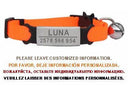 Cat Collar: Custom Engraved ID Tag with Breakaway Safety Cat Collar: Custom Engraved ID Tag with Breakaway Safety