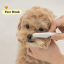 Pet Facial Cleaning Brush for Small Dogs Efficient Grooming Pet Facial Cleaning Brush for Small Dogs Efficient Grooming