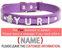 Rhinestone Charm Dog Collar Personalized Stylish Accessory Rhinestone Charm Dog Collar Personalized Stylish Accessory
