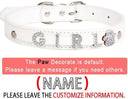 Rhinestone Charm Dog Collar Personalized Stylish Accessory Rhinestone Charm Dog Collar Personalized Stylish Accessory