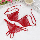 Sexy Lace Bra Brief Set: Elegant Lingerie for You Sexy Lace Bra Brief Set: Elegant Lingerie for You