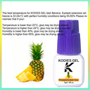 Ultra-Efficient Fast-Drying Eyelash Glue Superior Strength Ultra-Efficient Fast-Drying Eyelash Glue Superior Strength