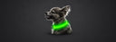Smart Pet Collars - Ourlum
