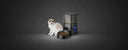 Smart Pet Feeders: Convenient Feeding for Happy, Healthy Pets - Ourlum