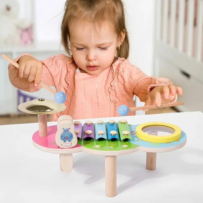 Montessori 10 In 1 Musical Drum Set For Kids Fun Toy