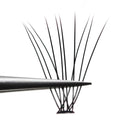 10D Mink Black Eyelash Extensions for Natural Beauty Look