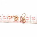 Rose Gold Glow Heart Earrings for Women